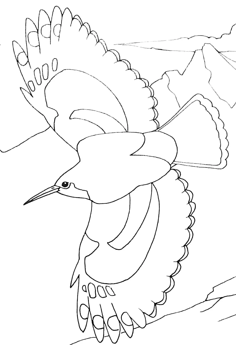 Oiseau en plein vol (Página de Pájaros para imprimir para niños)