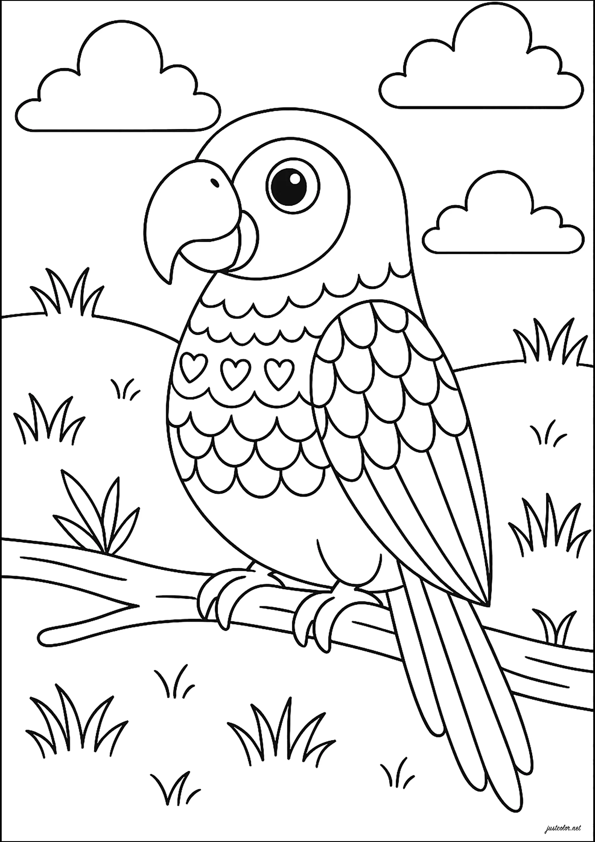 Bonito loro, fácil de colorear (Pájaros)