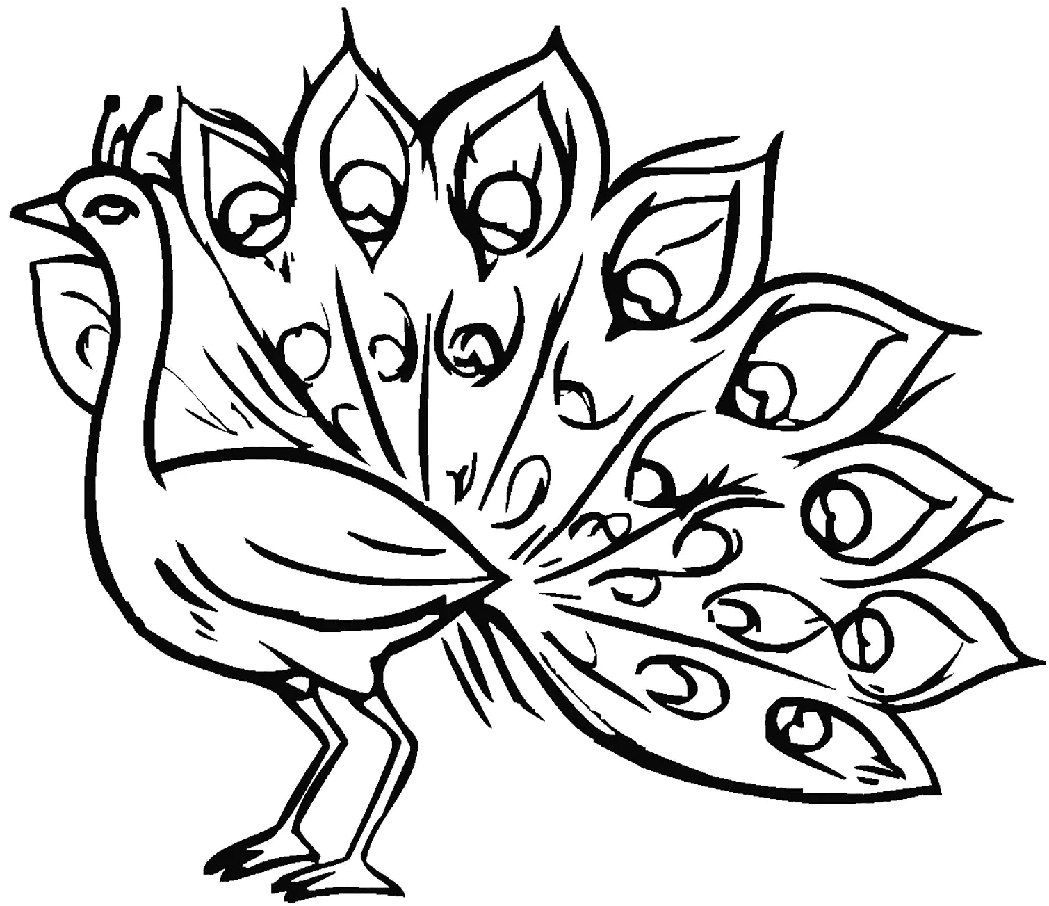 Imagen del pavo real para descargar y colorear