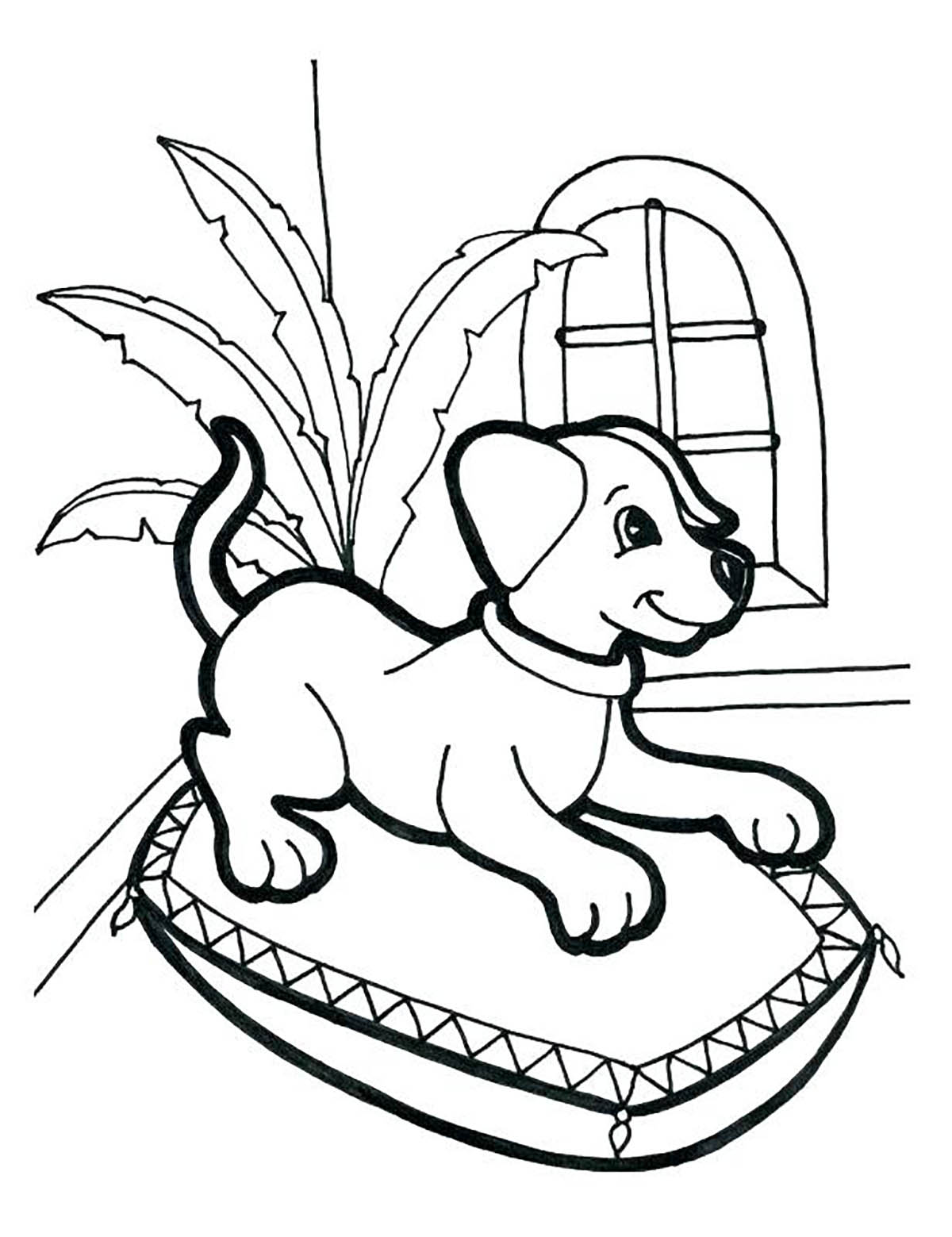 Coloreado de un perro en su cesta.