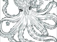 Dibujos de Pulpos para colorear