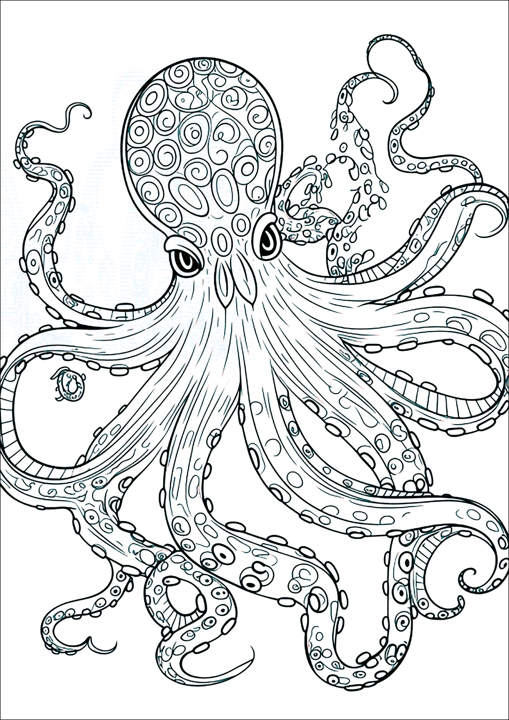 dibujos-para-colorear-gratis-de-pulpos-para-imprimir-p-ginas-de-pulpos-para-imprimir