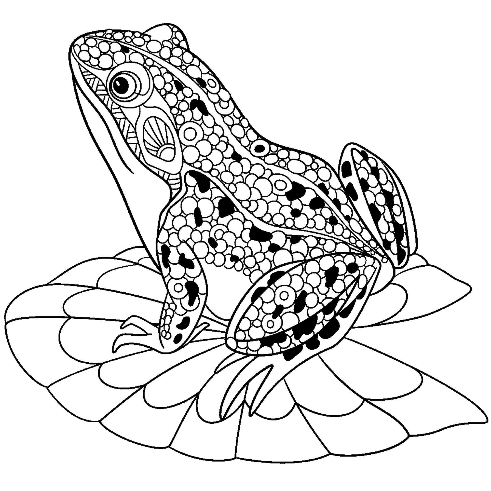 Zentangle rana (Página para imprimir para niños)