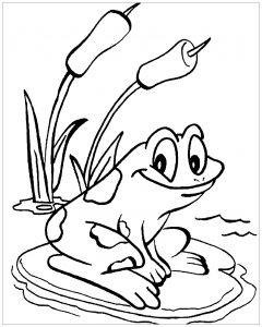 Páginas imprimibles para colorear de ranas para niños