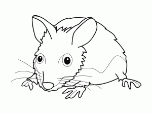 Dibujos para colorear de Ratón para imprimir