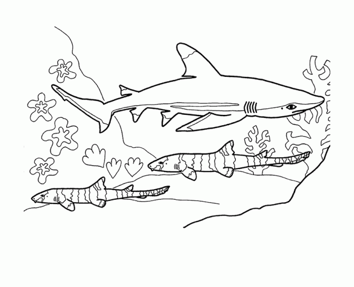 Páginas para colorear gratis de Tiburones