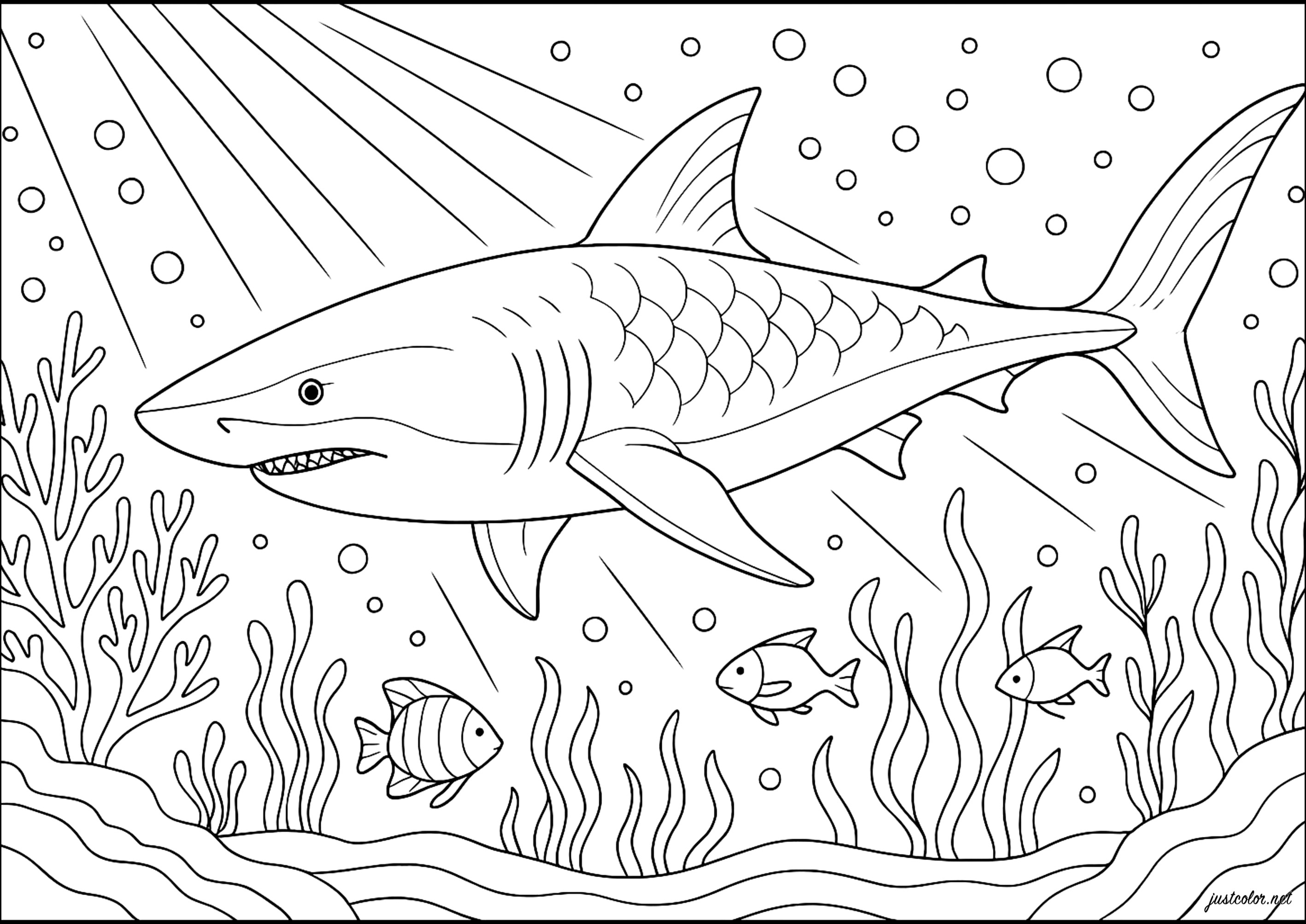 Señor de los Abismos (Página de Tiburones para imprimir para niños)