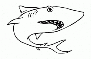 Imagen del tiburón para descargar y colorear