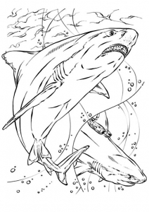 Dibujos para colorear de tiburones gratis