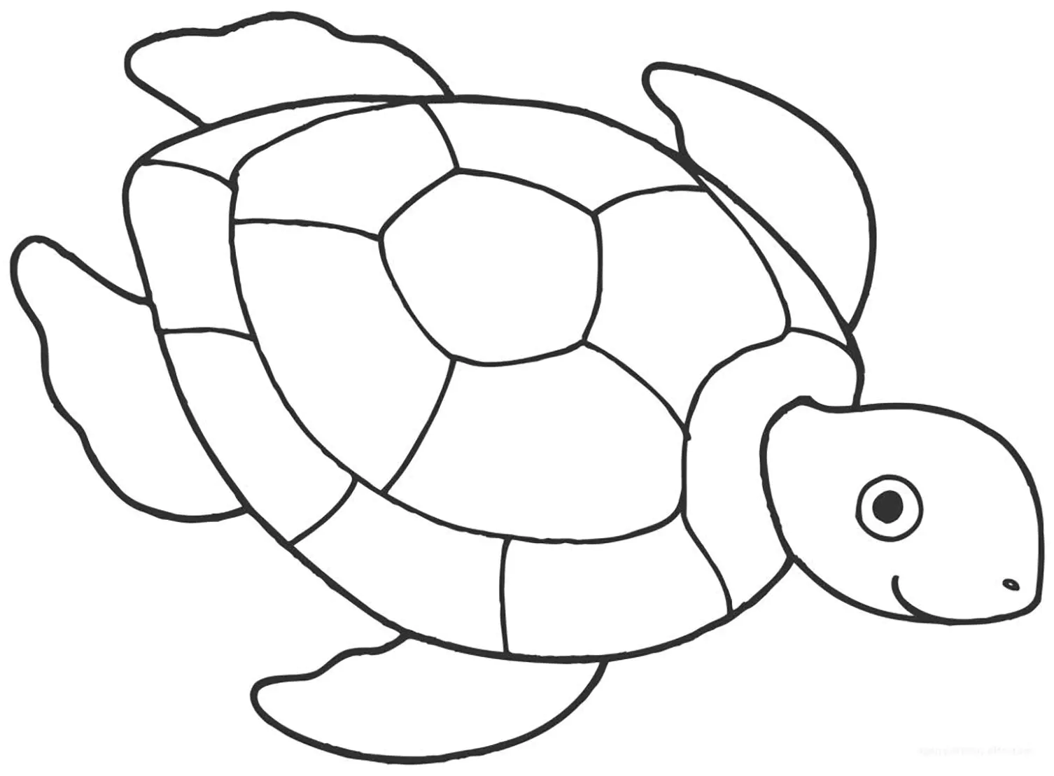 Páginas para colorear de tortugas para niños