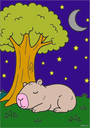 Werk von Anonym nach Capibara durmiendo bajo un árbol