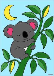 匿名 根据《Koala dormido bajo la luna》创作