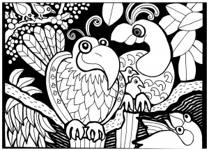 51 Desenhos de Macacos para Colorir - Só desenhos para Colorir