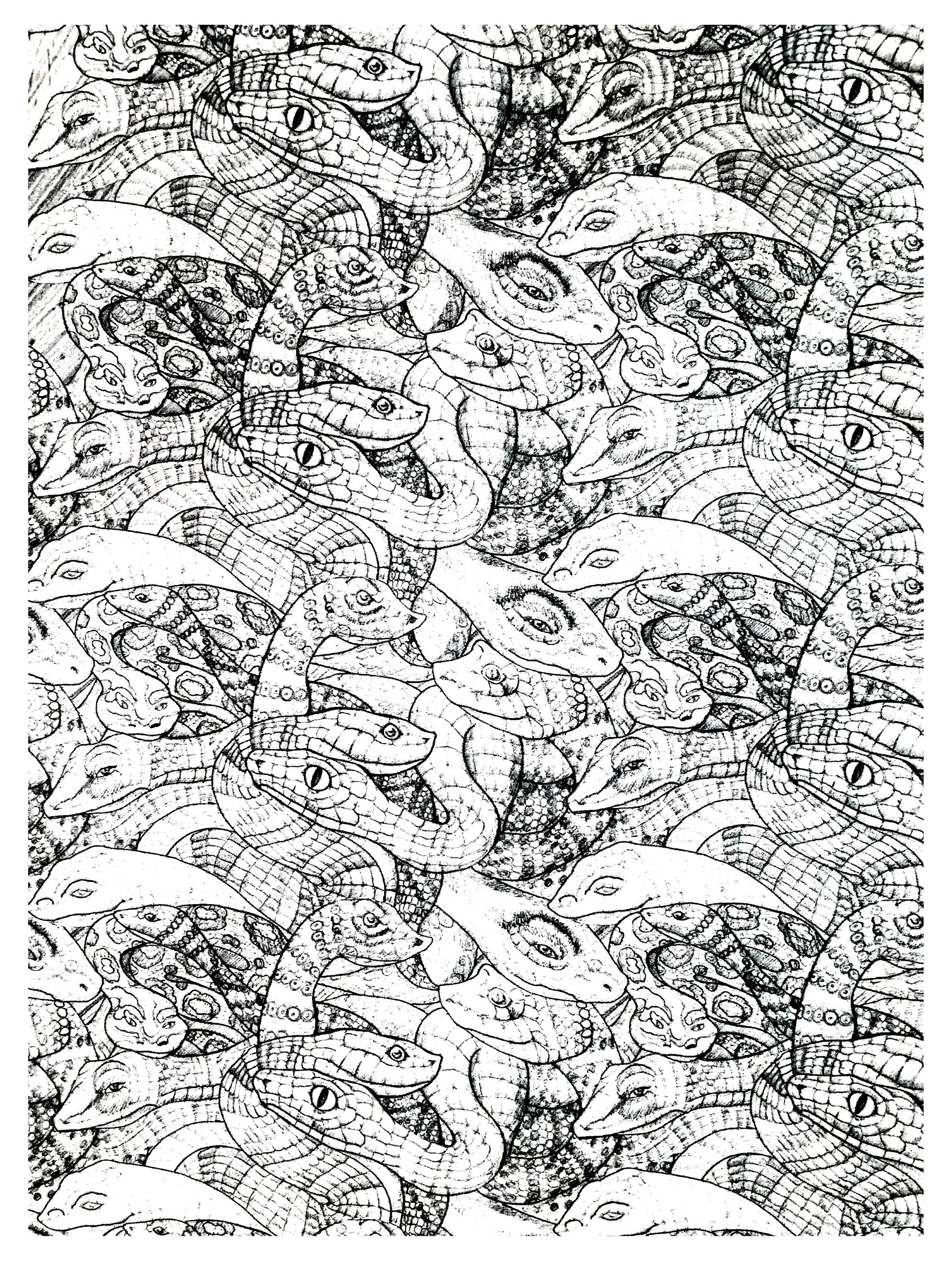 Desenhos incríveis grátis para colorir de Animais para baixar Desenhos incríveis grátis para colorir de Animais para baixar