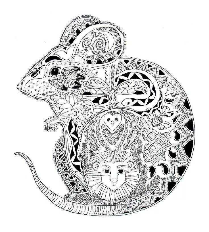 Desenhos para colorir para crianças de Animais Desenhos para colorir para crianças de Animais