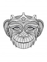 Desenhos simples para colorir gratuitos de Animais para baixar