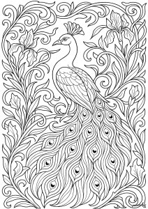 Pavão majestoso em uma moldura Art Nouveau