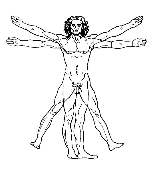Desenho do homem vitruviano de Leonardo Da vinci, 1492