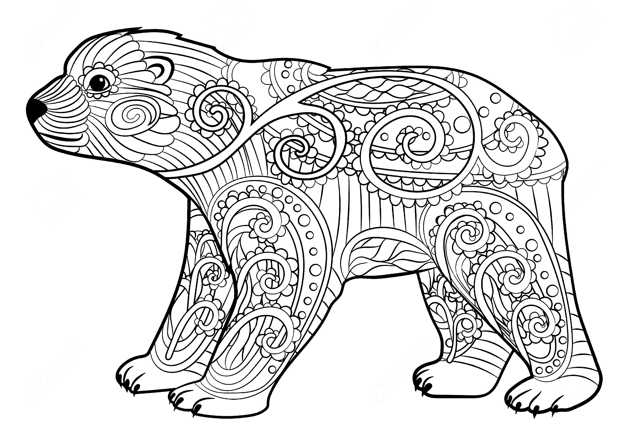 Página para colorir simples de um ursinho, cheia de bonitos padrões, Fonte : 123rf   Artista : Alina Safiullina #NOLINK