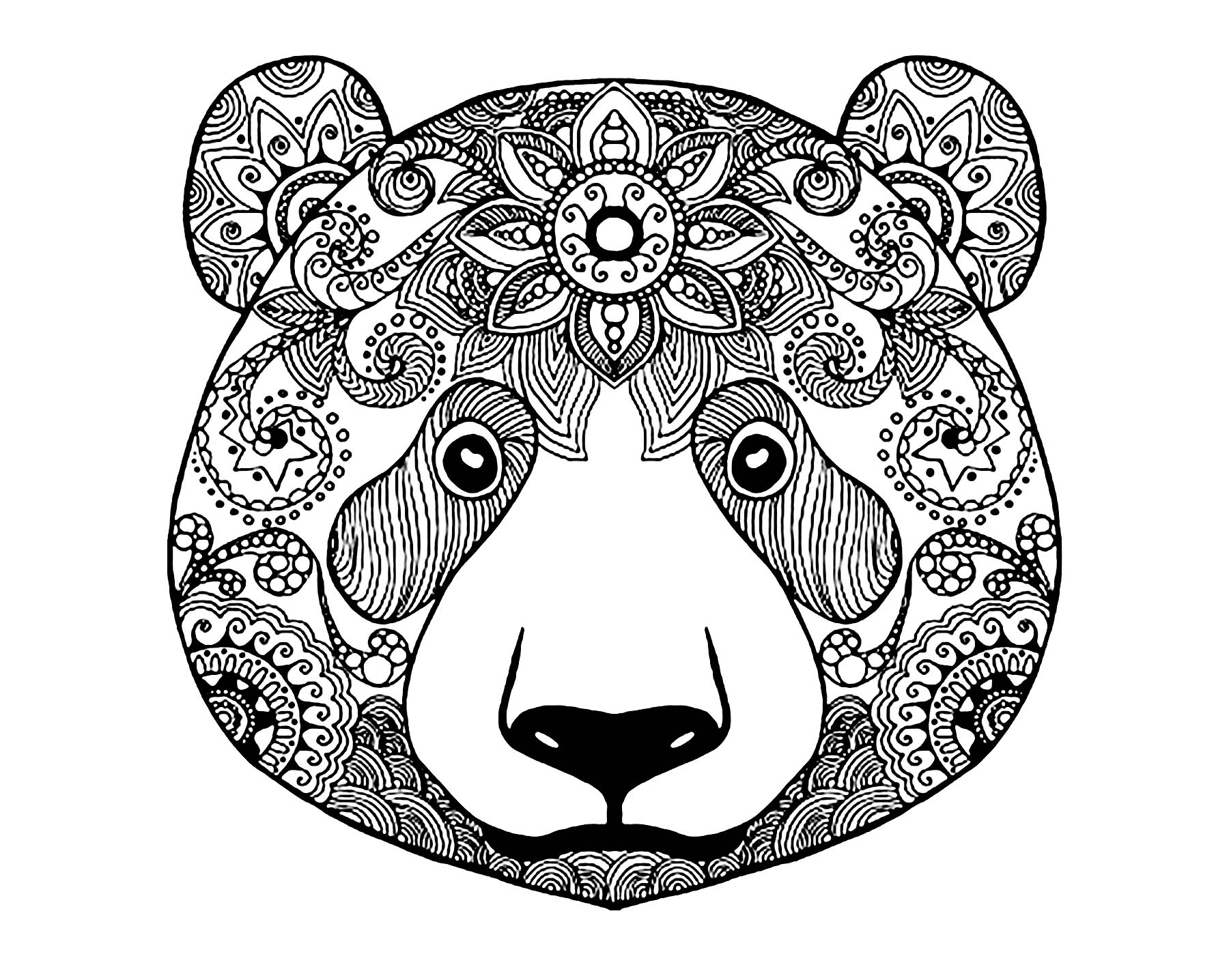 Desenhos fáceis gratuitos para colorir de Ursos