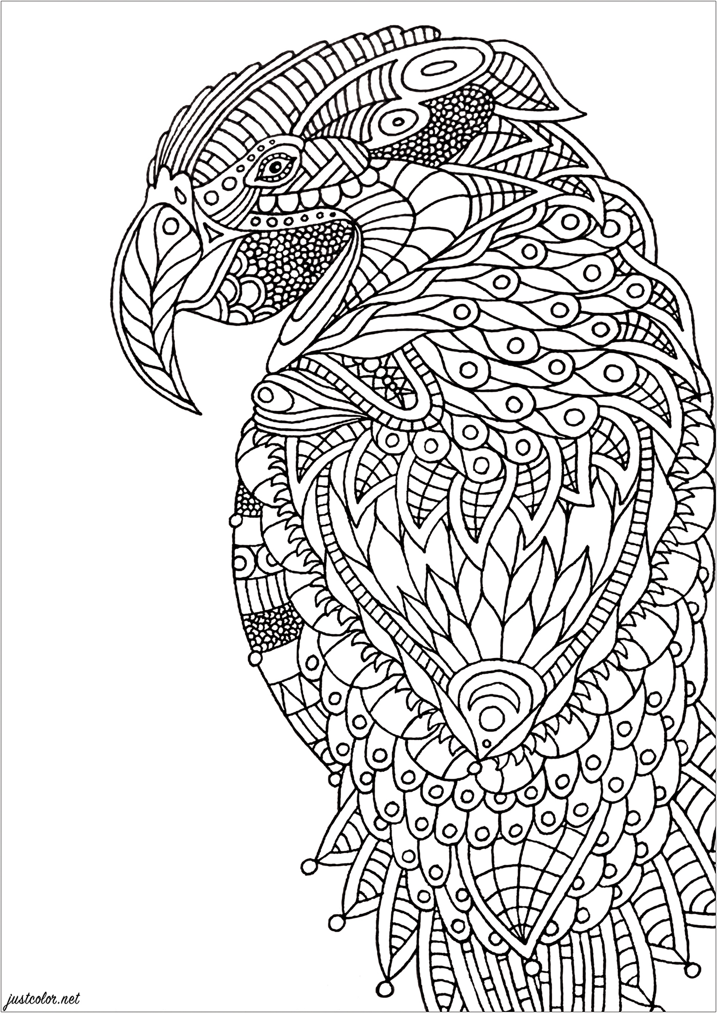 Papagaio Zentangle (Página de Pássaros para colorir) Papagaio Zentangle (Página de Pássaros para colorir e imprimir para adultos)