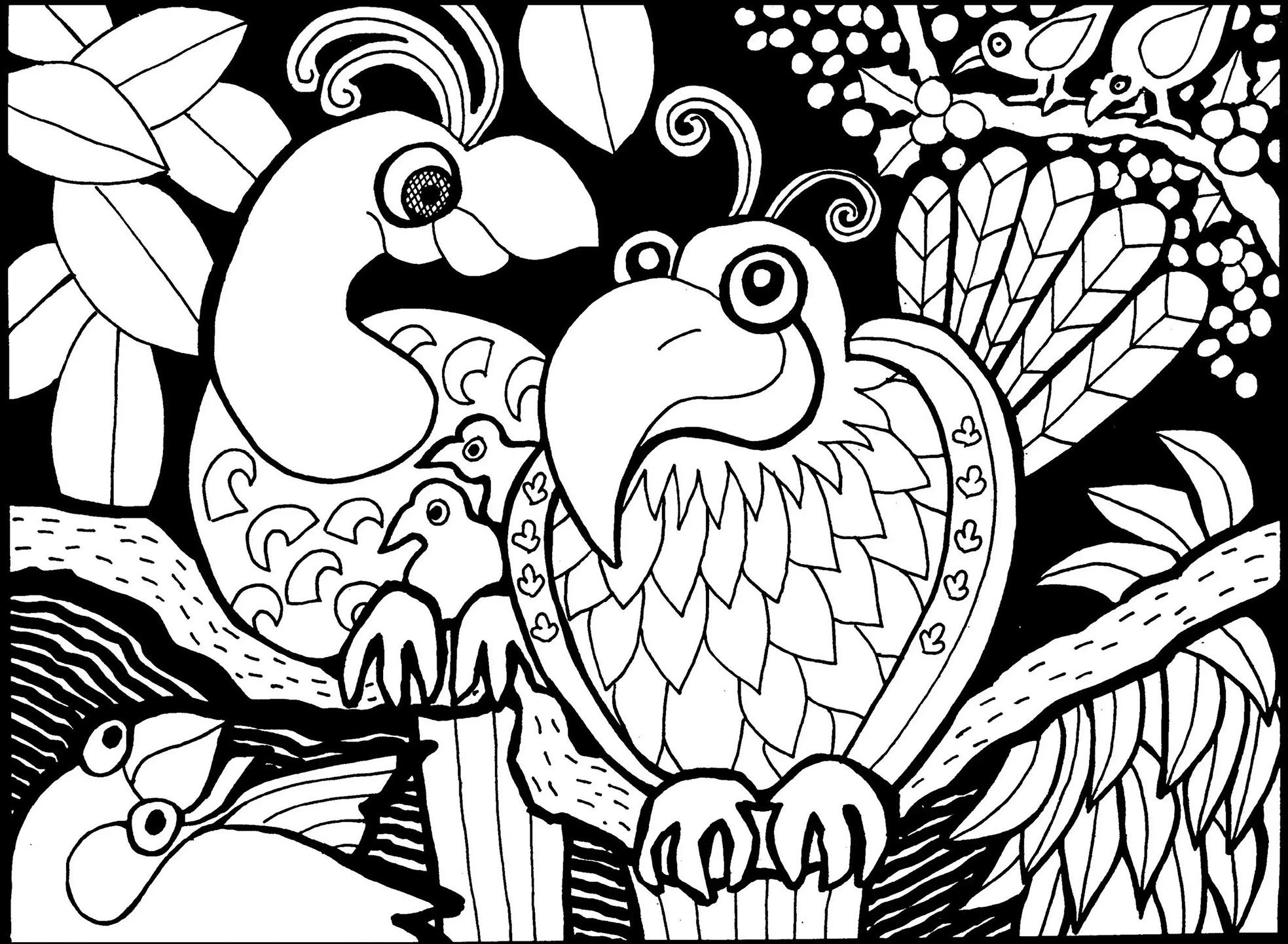 Desenhos para colorir gratuitos de Pássaros para imprimir e colorir -  Pássaros - Coloring Pages for Adults