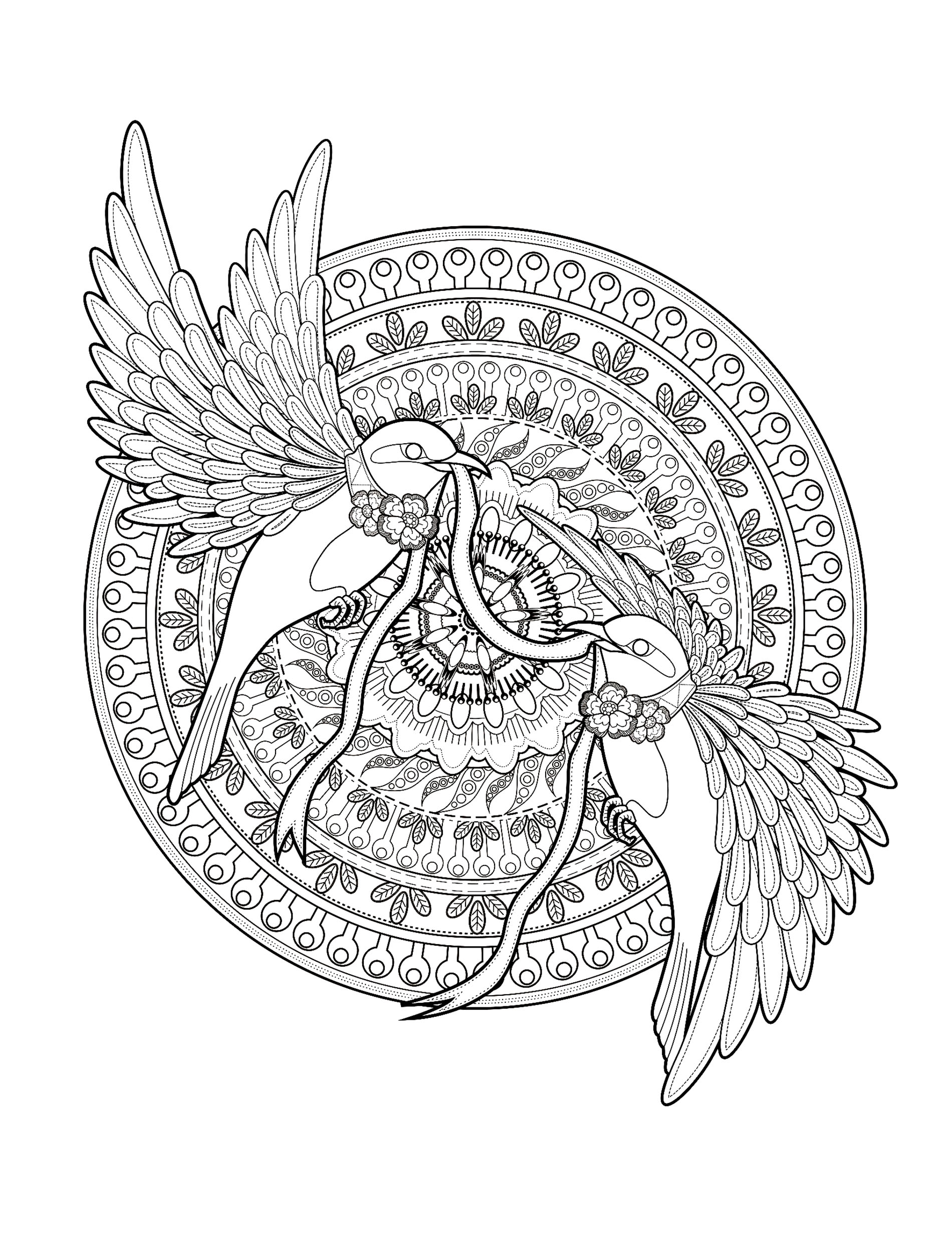 Desenhos grátis para colorir de Pássaros para imprimir e colorir, Artista : Kchung Desenhos grátis para colorir de Pássaros para imprimir e colorir, Artista : Kchung