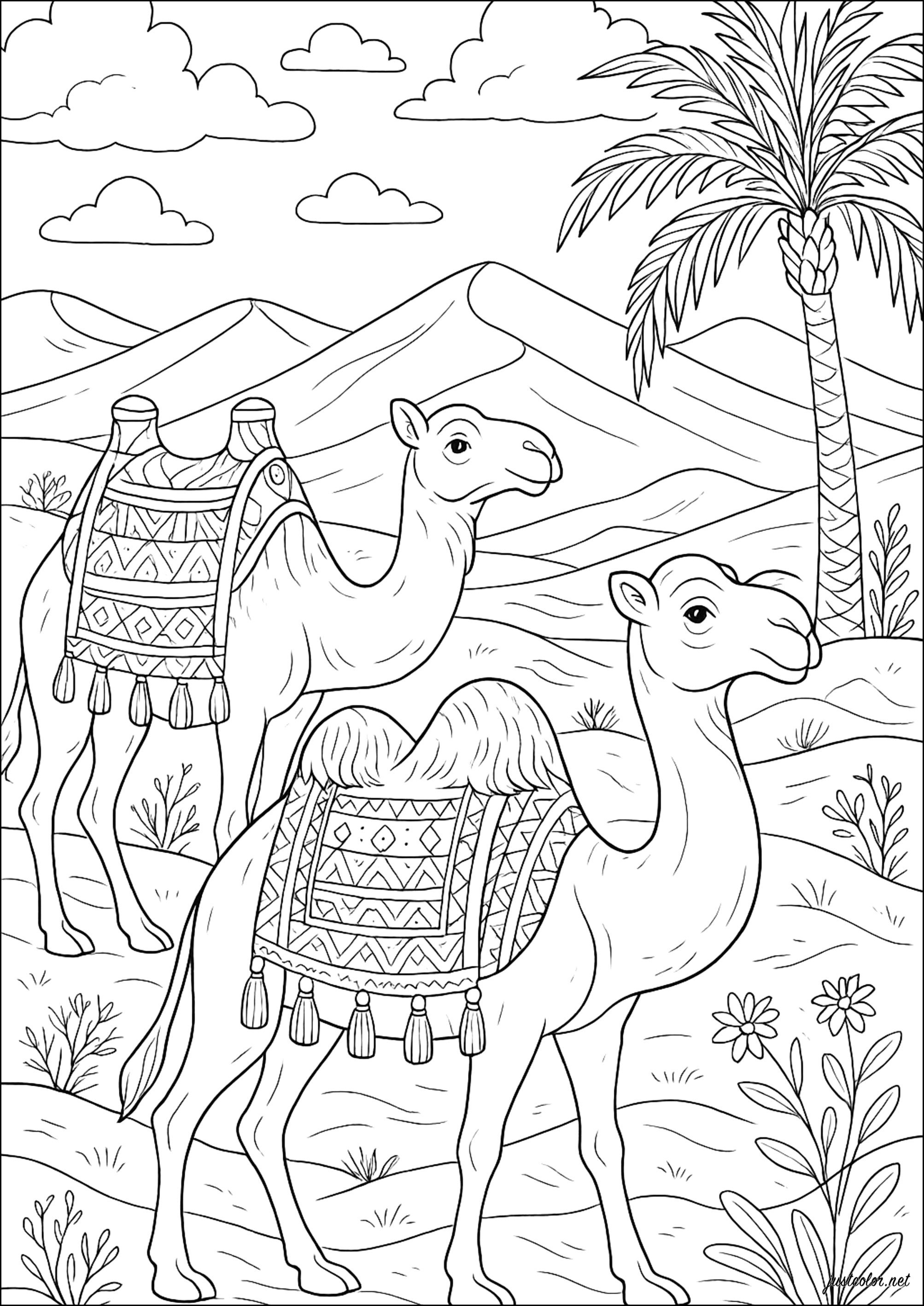 Caravana do Deserto (Página de Camelos e dromedários para colorir e imprimir para adultos)