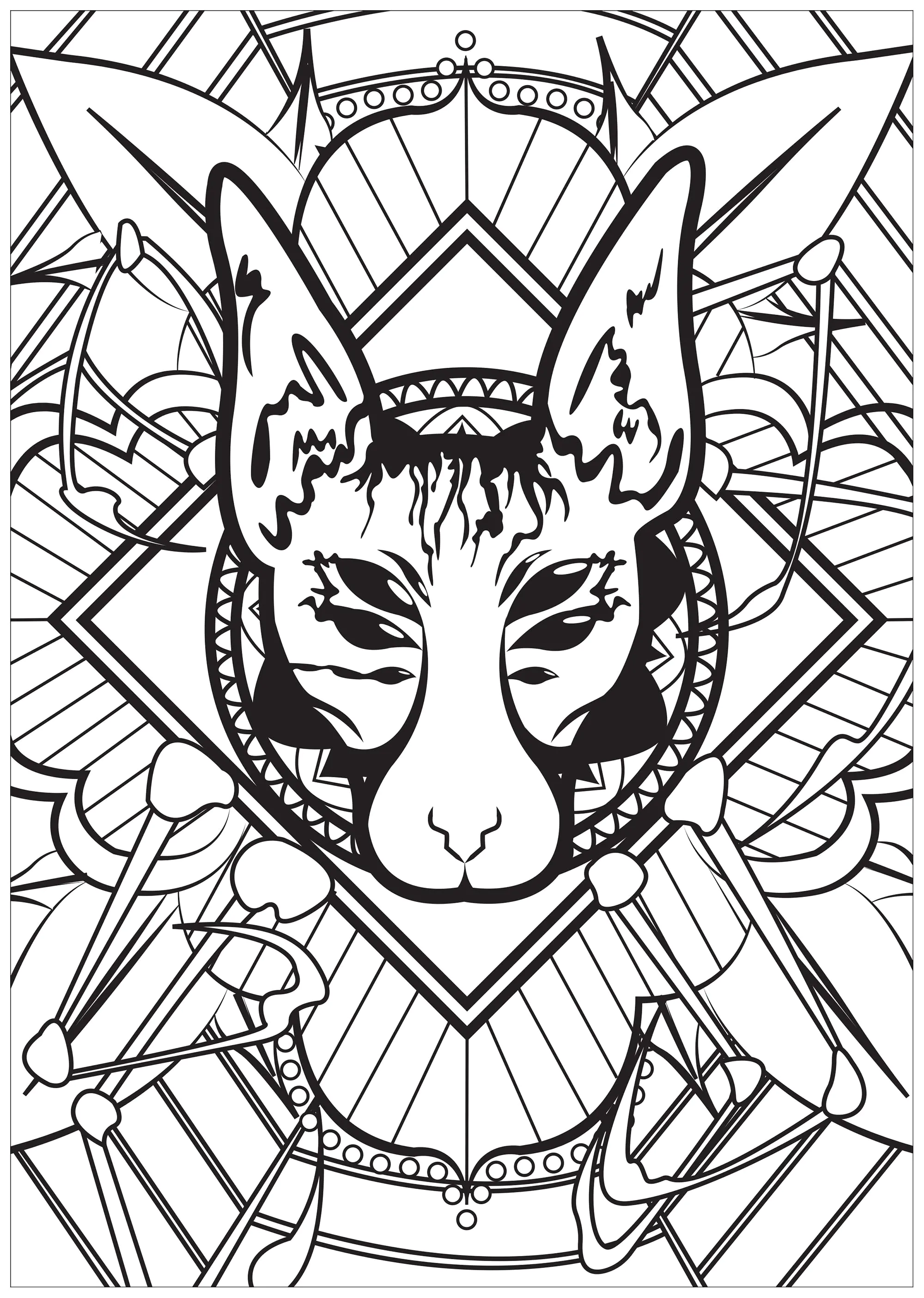 Gato fundido com uma aranha (Página para colorir e imprimir para adultos)