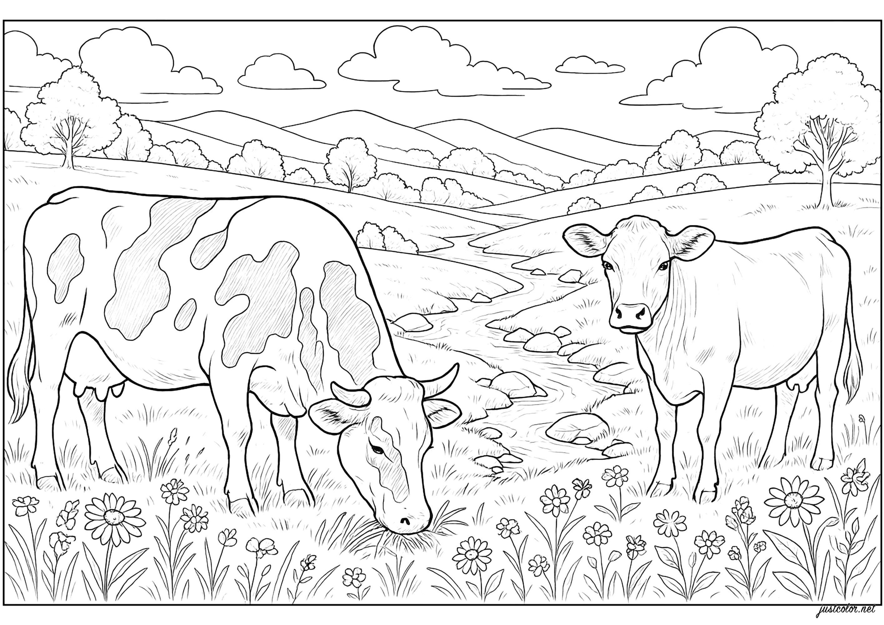 Dupla de gado em prados (Página de Vacas para colorir e imprimir para adultos)