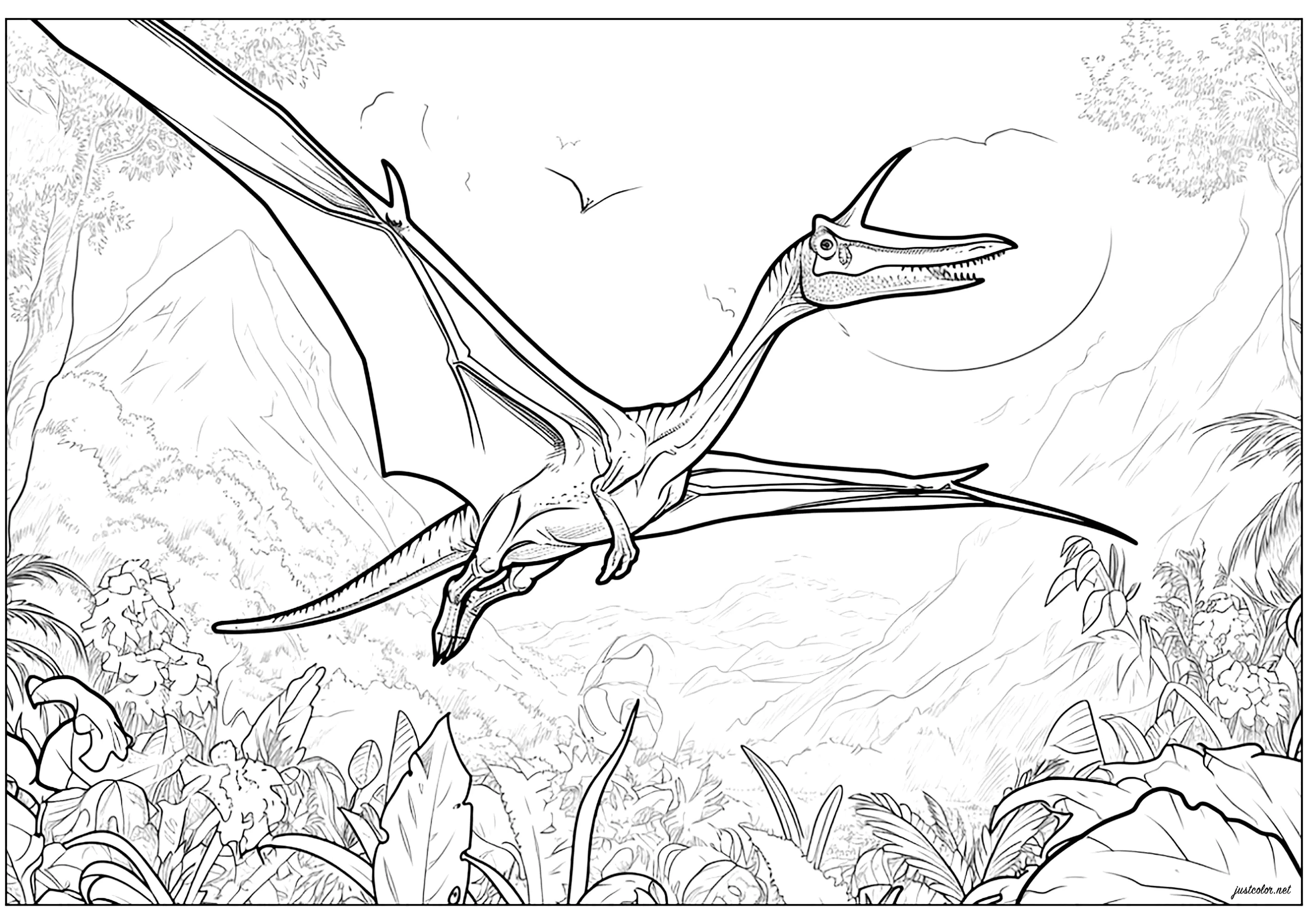 Pterodáctilo em voo (Página de Dinossauros para colorir e imprimir para adultos)