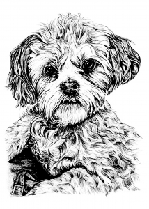 Desenhos para colorir de Cães para imprimir