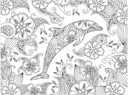 Páginas de Golfinhos para colorir e imprimir para adultos