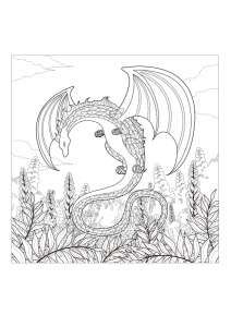 Desenho de dragão para colorir com muitos pormenores