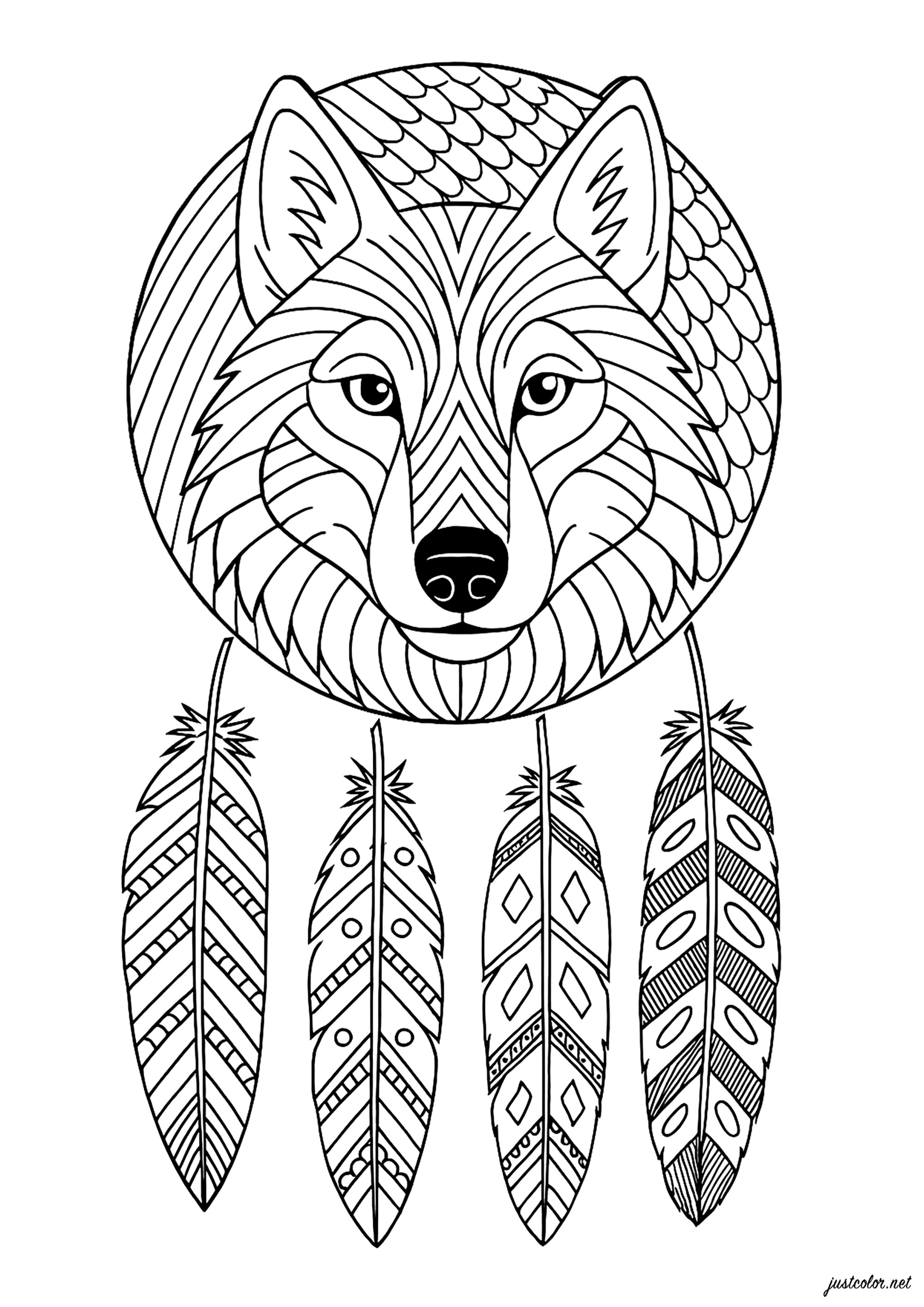 Lobo majestoso e penas elegantes (Página de Dreamcatchers para colorir e imprimir para adultos)