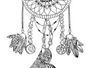 Dreamcatchers