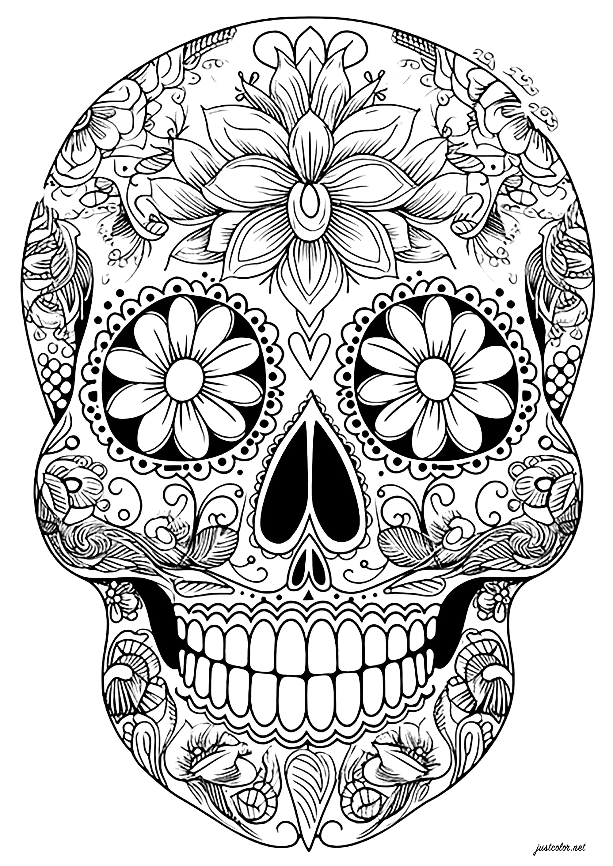 Caveira do dia dos mortos - motivos florais elegantes (Página de El Dia de los Muertos para colorir e imprimir para adultos)