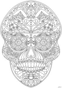 Crânio decorado com numerosos padrões intrincados (Página de El Dia de los Muertos para colorir)