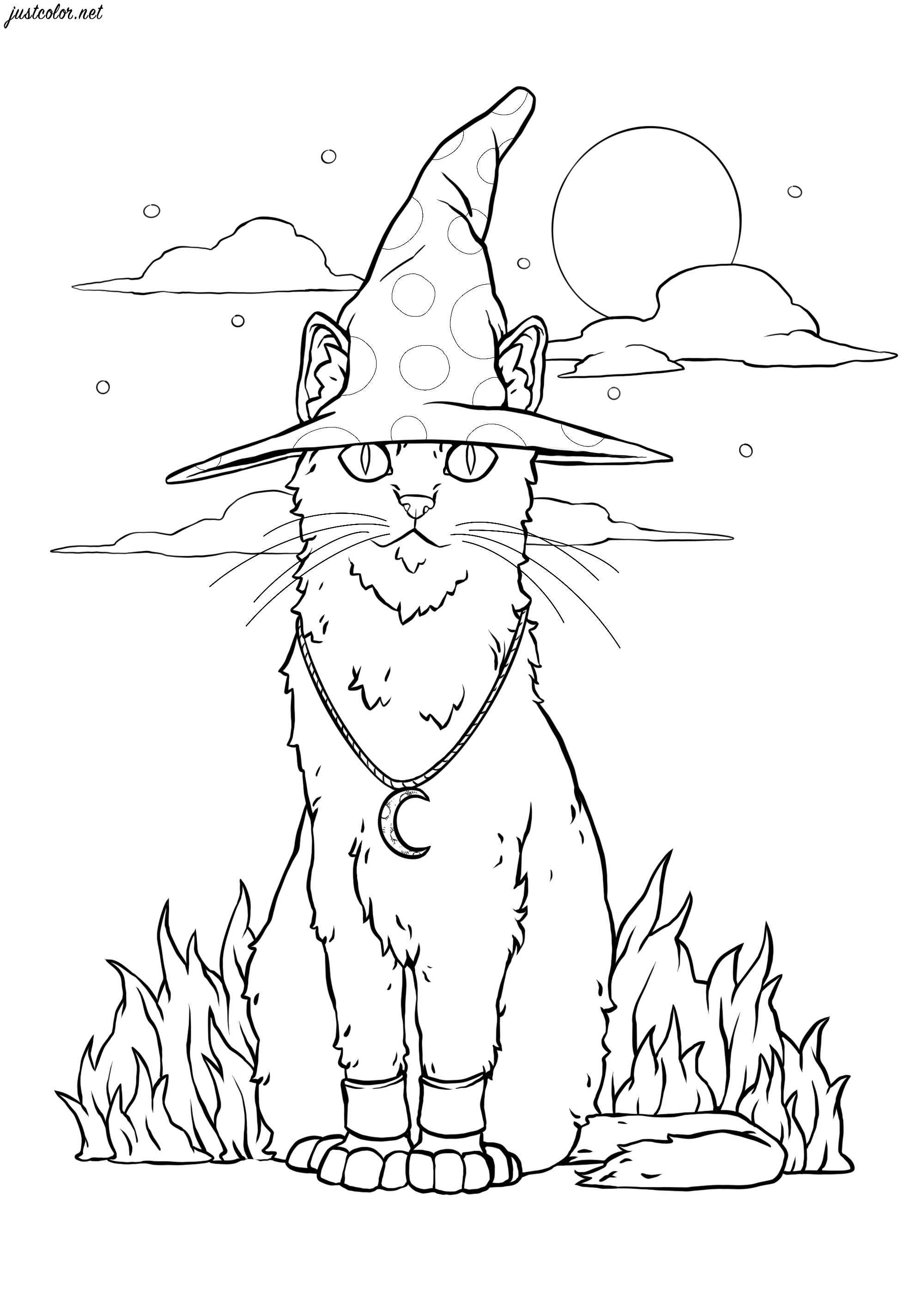 A bruxa encantadora e o seu gato - Dia das Bruxas - Coloring Pages