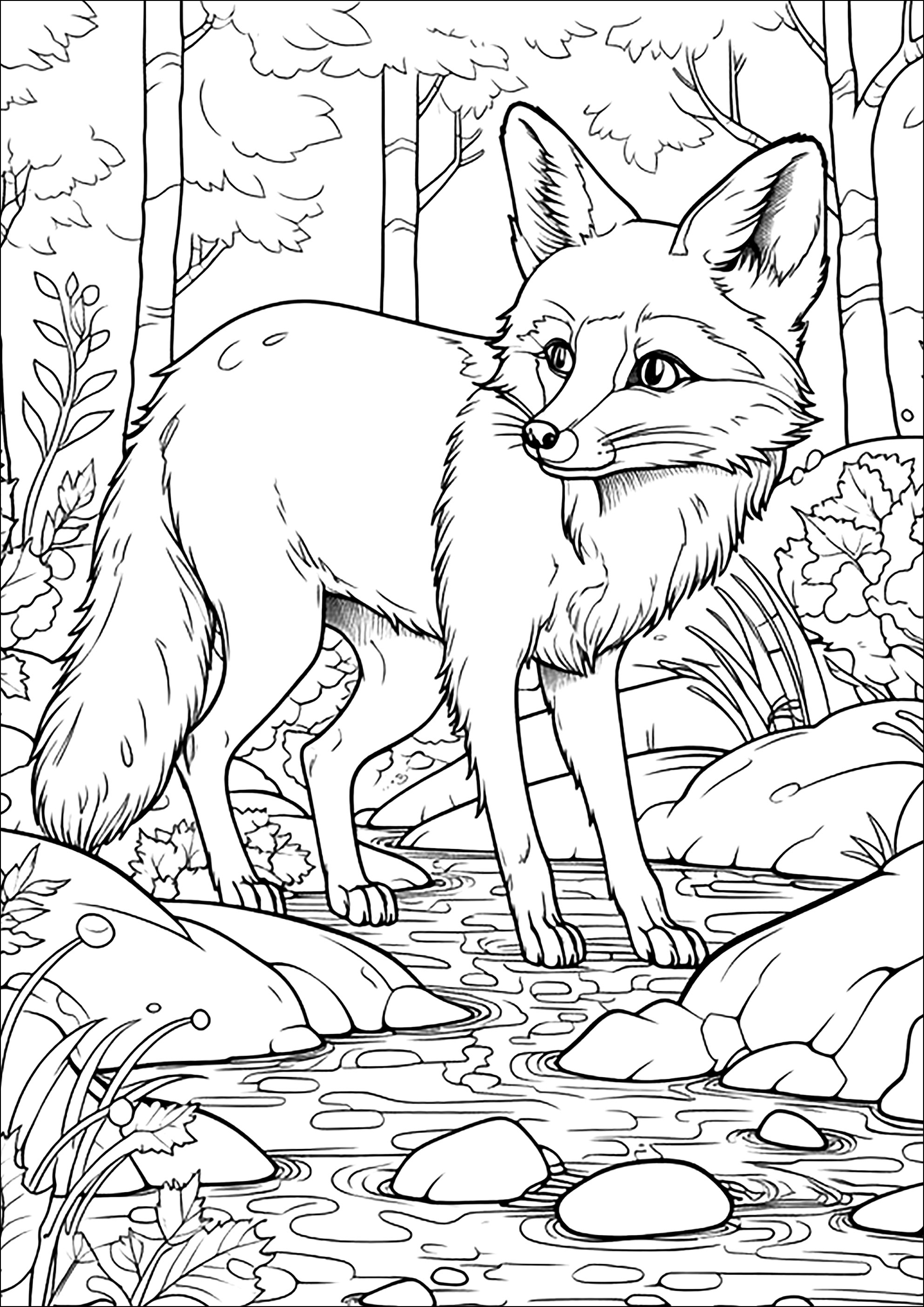 Uma linda raposa na floresta. Muitos pormenores para colorir