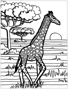 Página de coloração de girafa