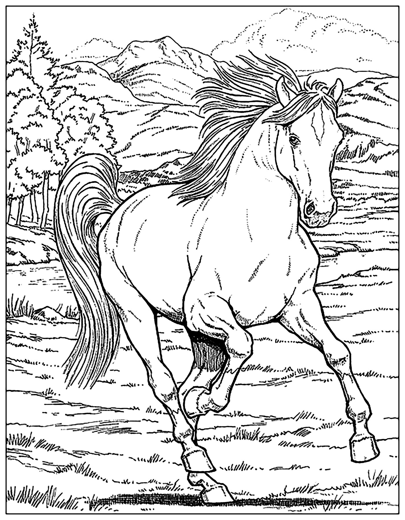 Desenhos grátis para colorir de Cavalos para imprimir e colorir