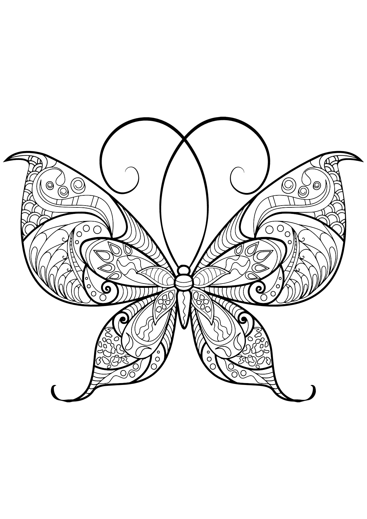 Desenhos incríveis grátis para colorir de Borboletas e insetos para baixar Desenhos incríveis grátis para colorir de Borboletas e insetos para baixar