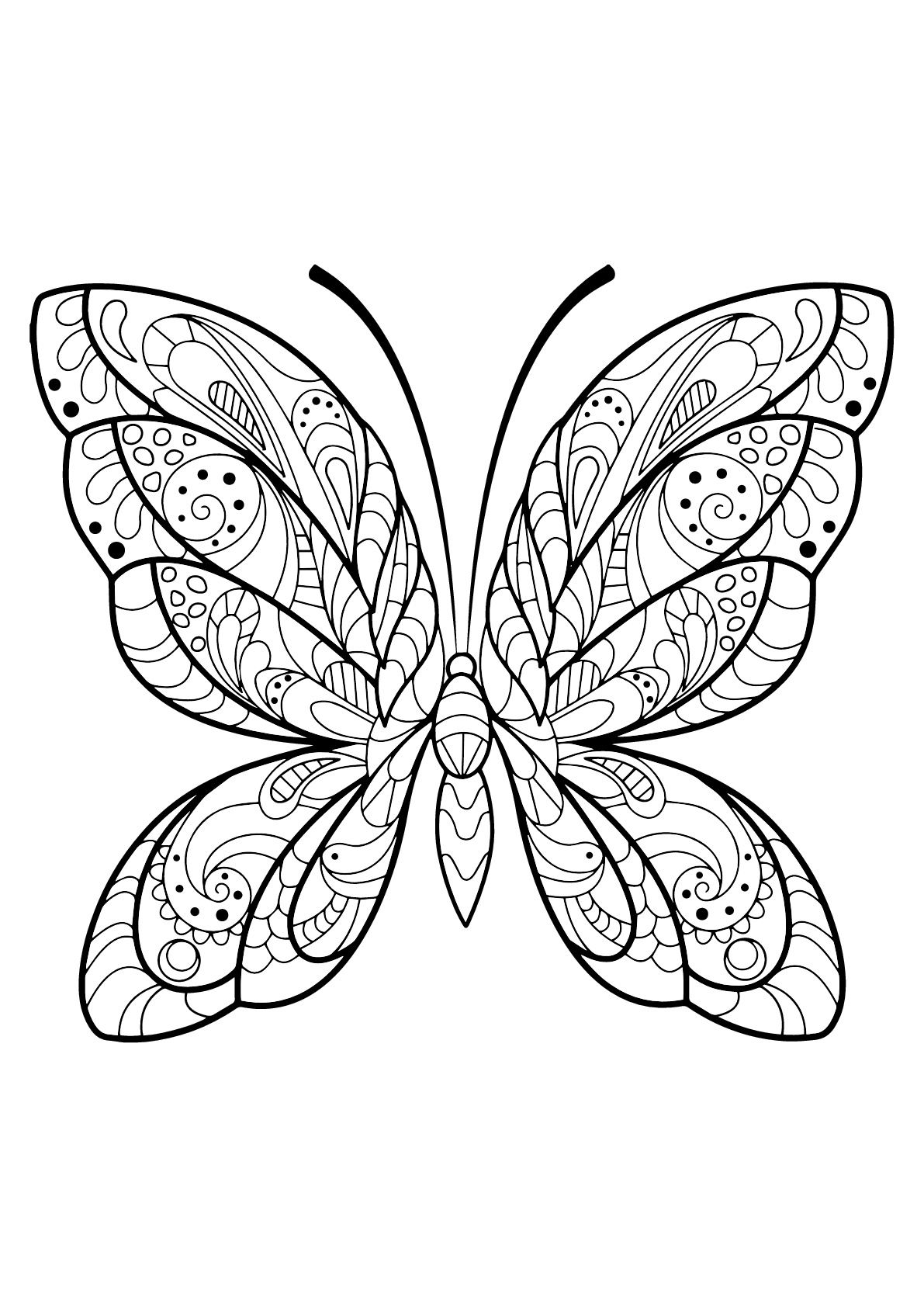 Desenhos para colorir para crianças de Borboletas e insetos para imprimir