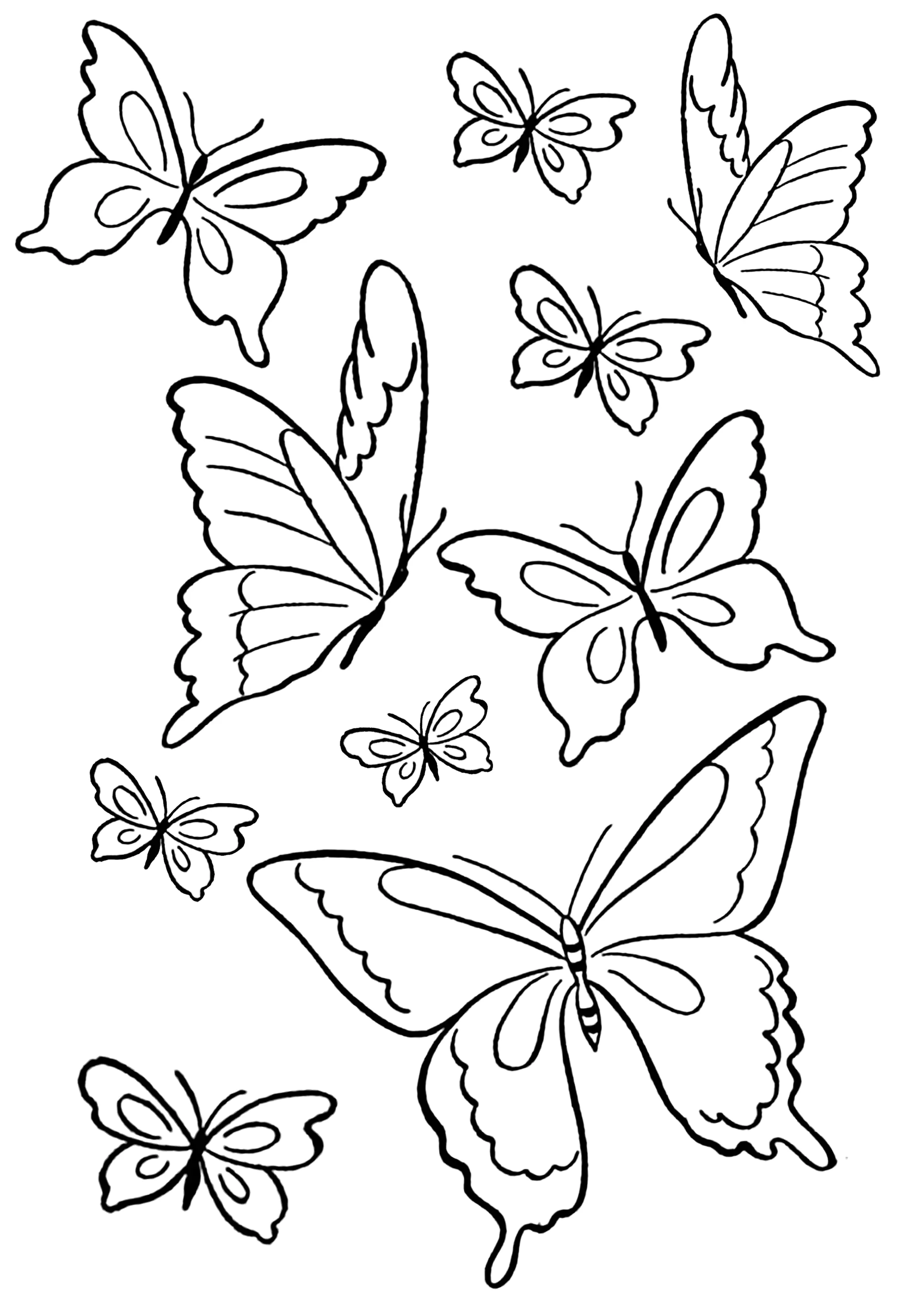 Simples borboletas em voo (Página de Borboletas e insetos para colorir e imprimir para adultos)