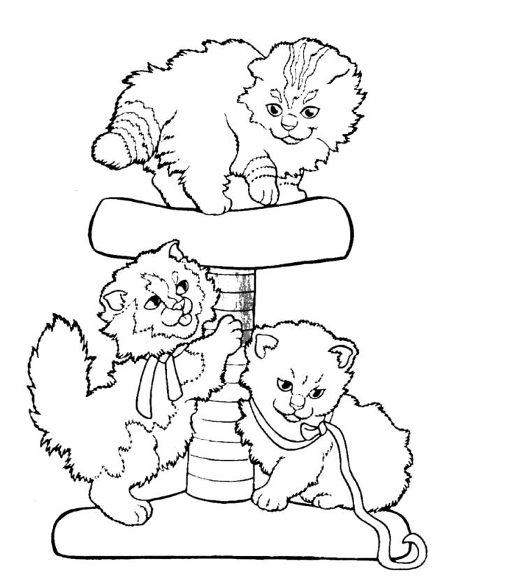 Desenhos simples para colorir de Animais