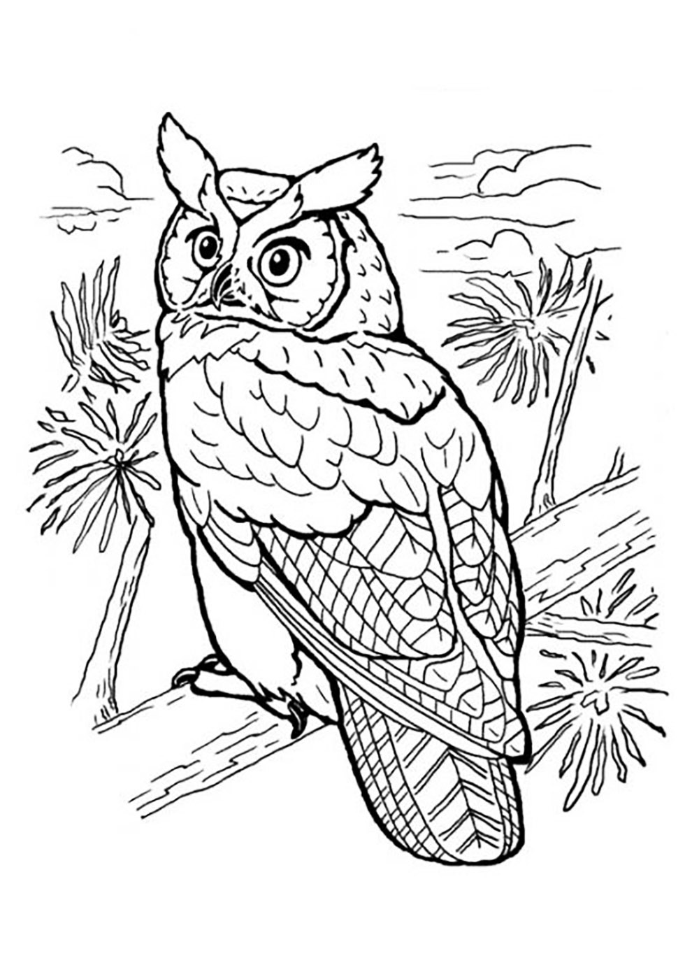 Desenhos simples para crianças para colorir de Animais - Animais - Coloring  Pages for Adults