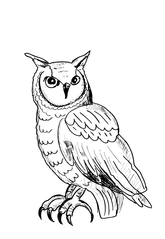 Desenhos incríveis para colorir para crianças de Animais Desenhos incríveis para colorir para crianças de Animais