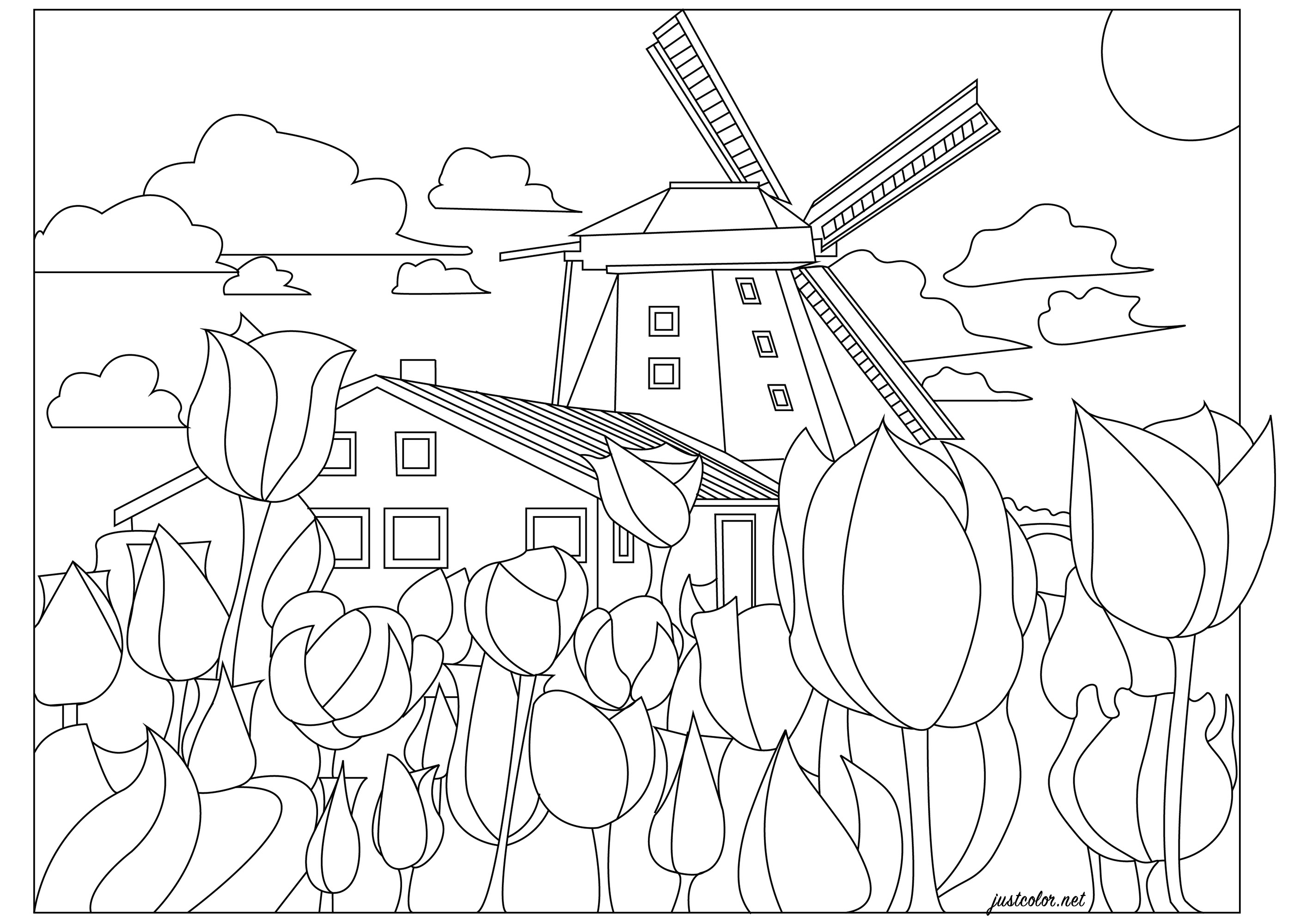 Países Baixos, a terra dos moinhos de vento e dos campos de tulipas. O campo holandês na primavera! Uma página para colorir com tulipas de mil cores (à escolha), um moinho de vento e uma casa típica holandesa, Artista : Morgan