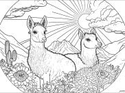 Páginas de Lhamas para colorir e imprimir para adultos